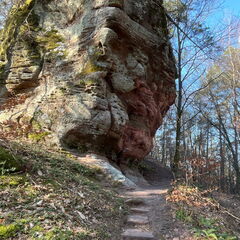 23-03-01 12-31-53 4509